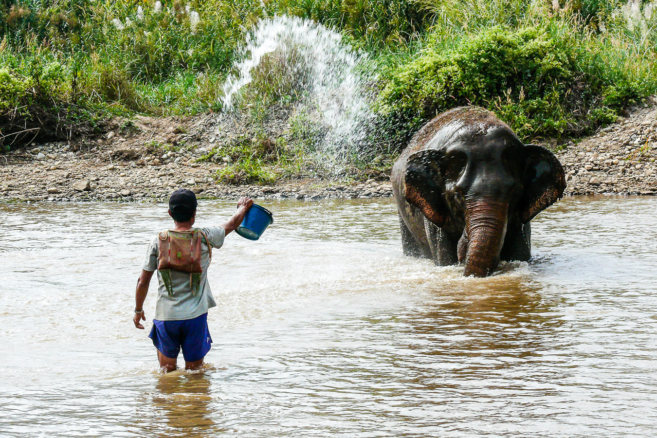 Elephant Nature Park, Thailande