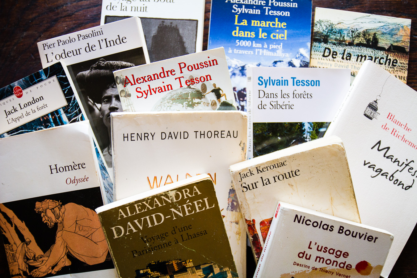 Livres sur le voyage