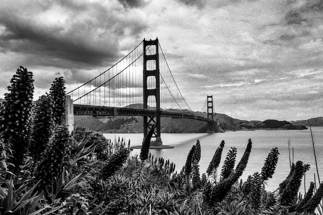 Souvenirs américains - Golden Gate Bridge
