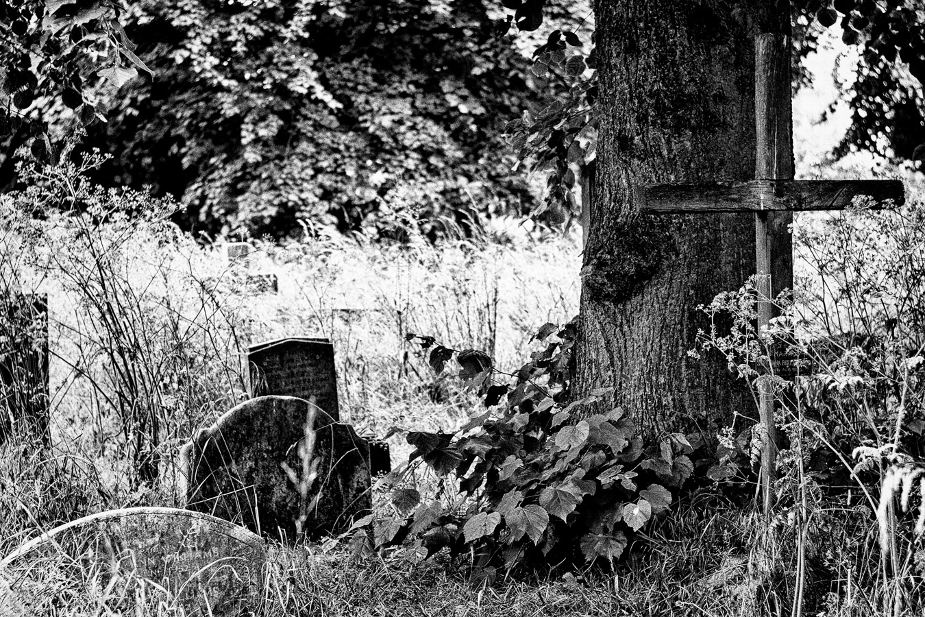 Brompton-Cemetery-1