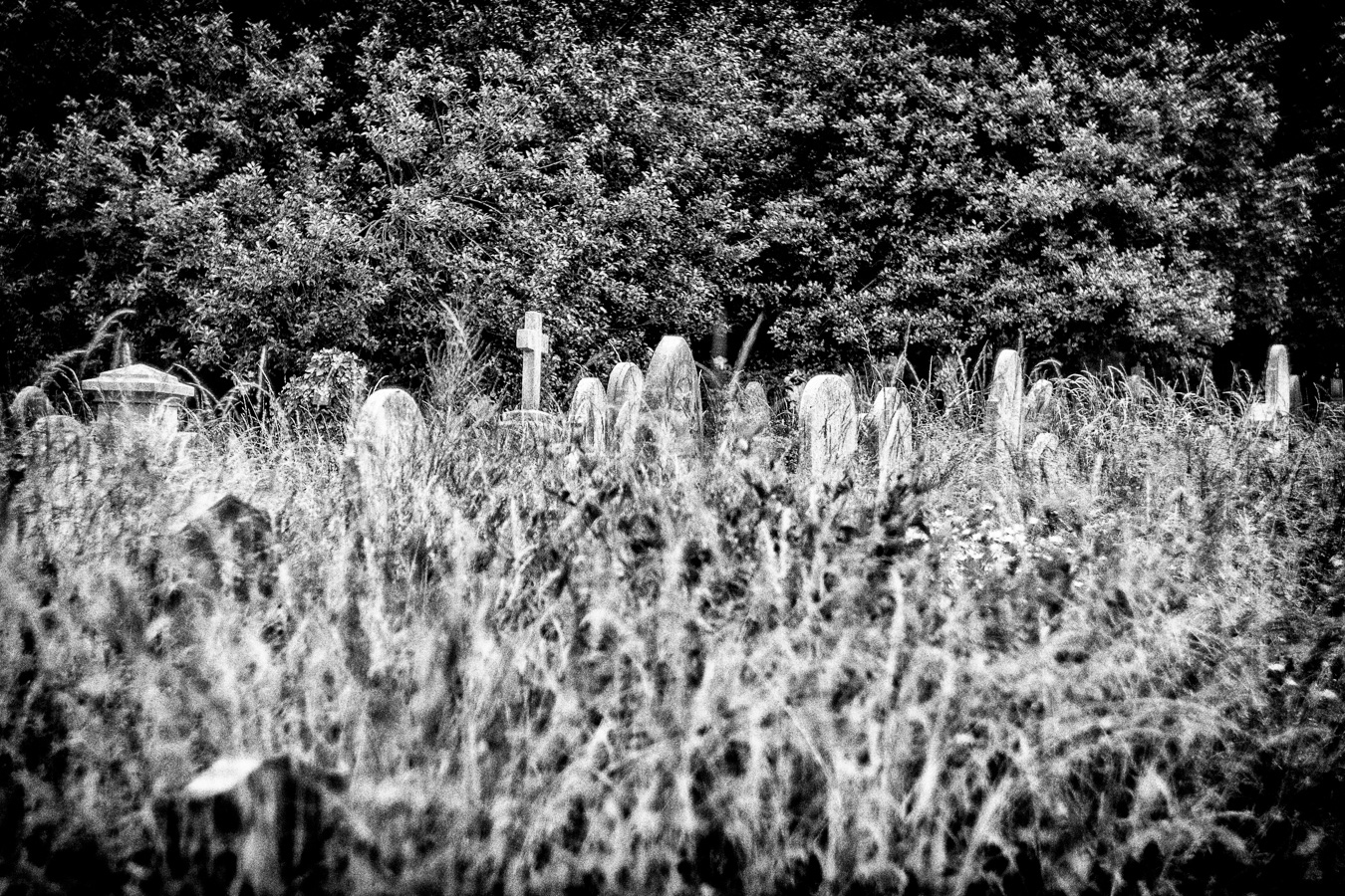 Brompton-Cemetery-10