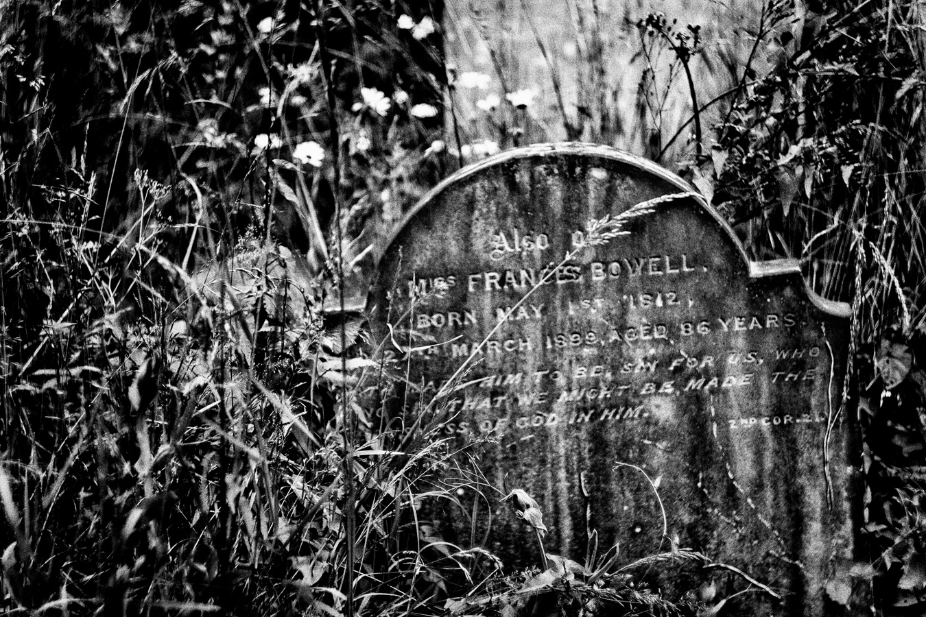 Brompton-Cemetery-12
