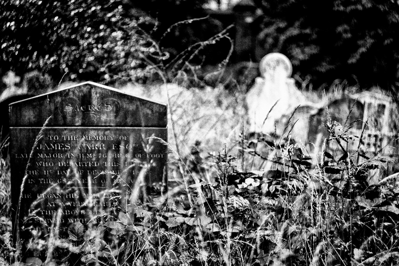Brompton-Cemetery-13