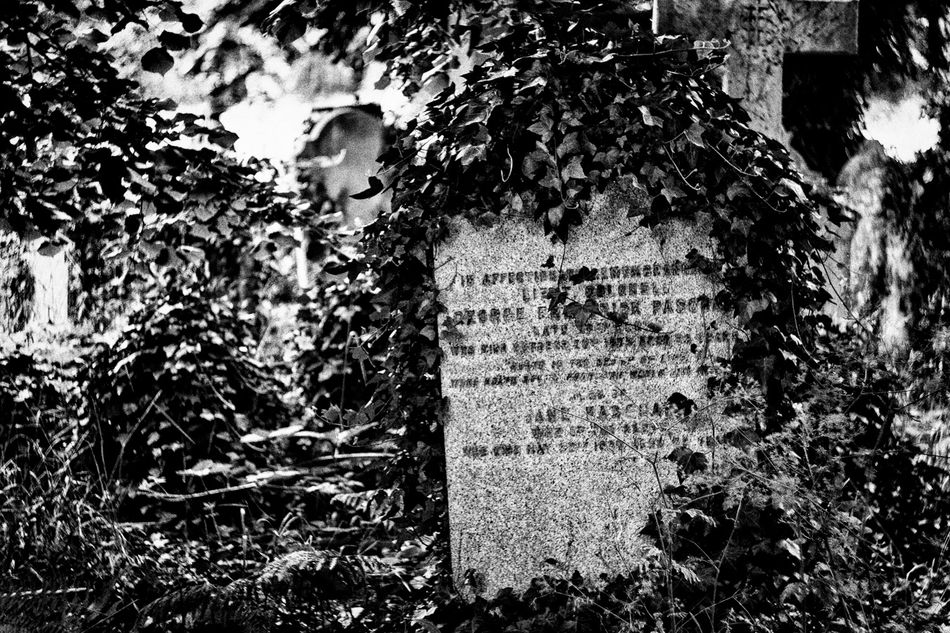 Brompton-Cemetery-14