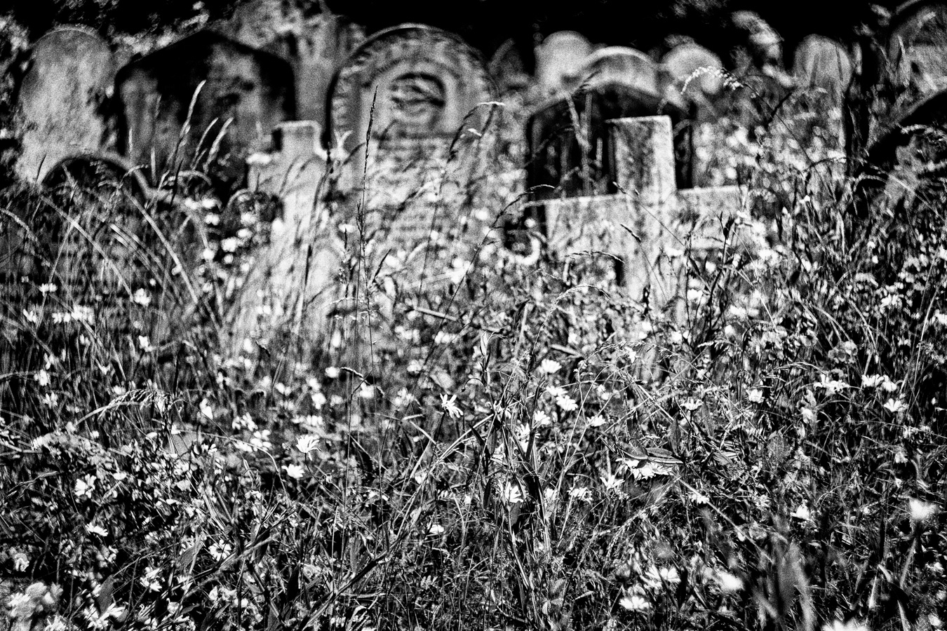 Brompton-Cemetery-15