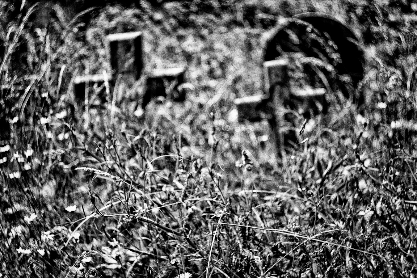 Brompton-Cemetery-16