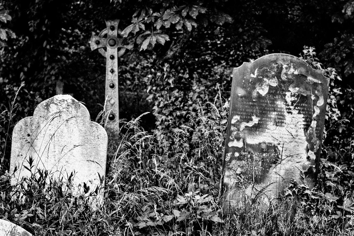 Brompton-Cemetery-18