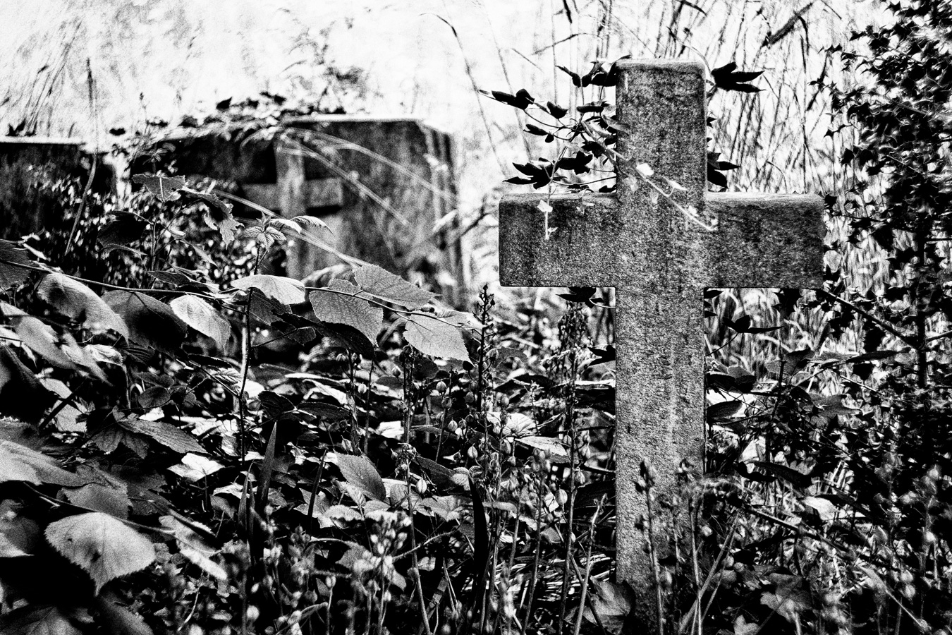 Brompton-Cemetery-2