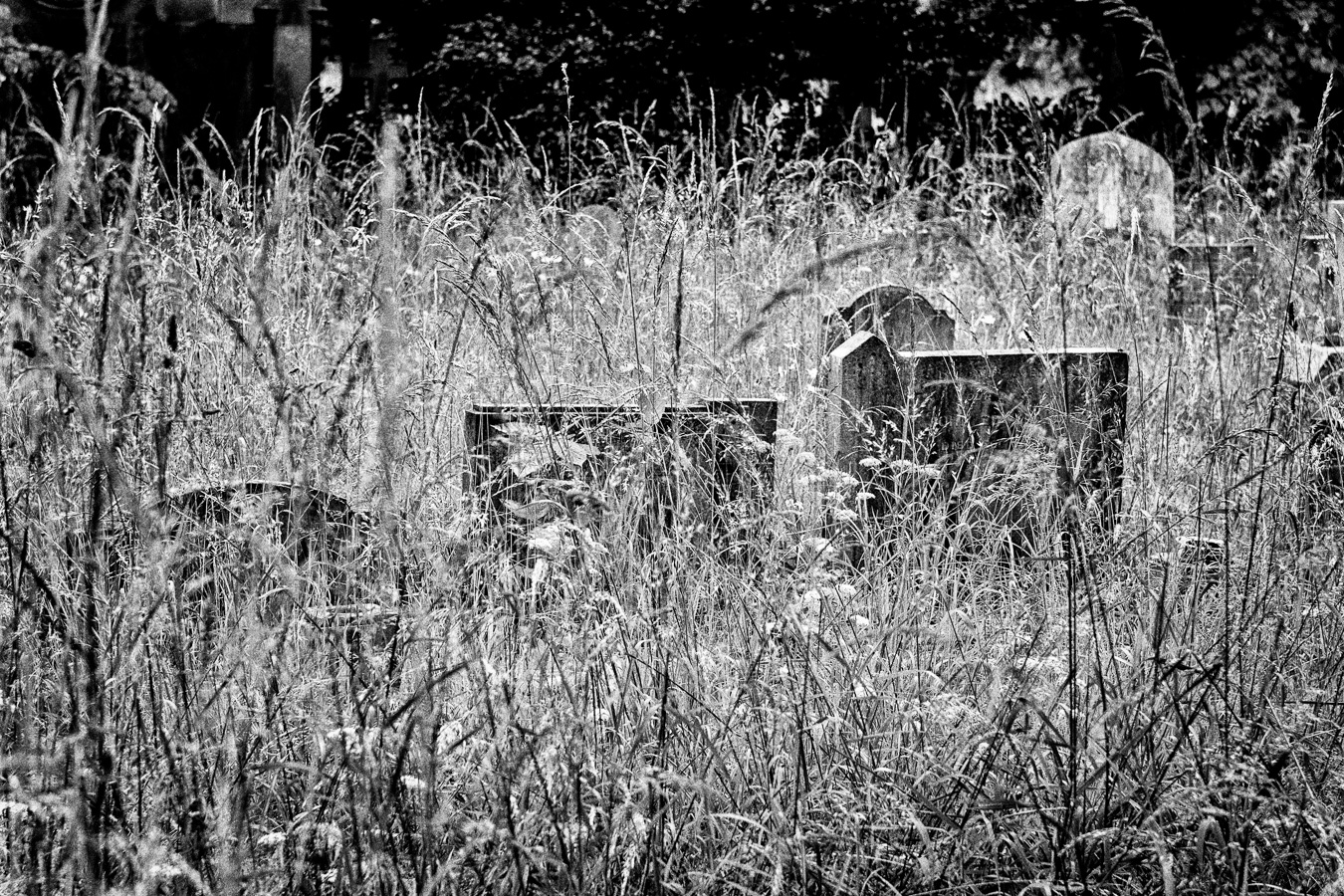 Brompton-Cemetery-4