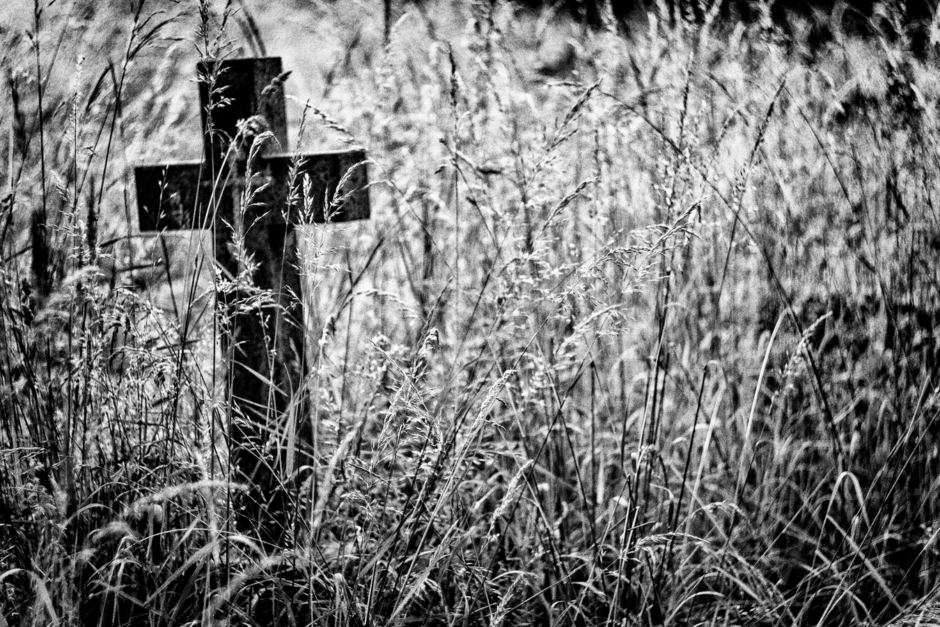 Brompton-Cemetery-8