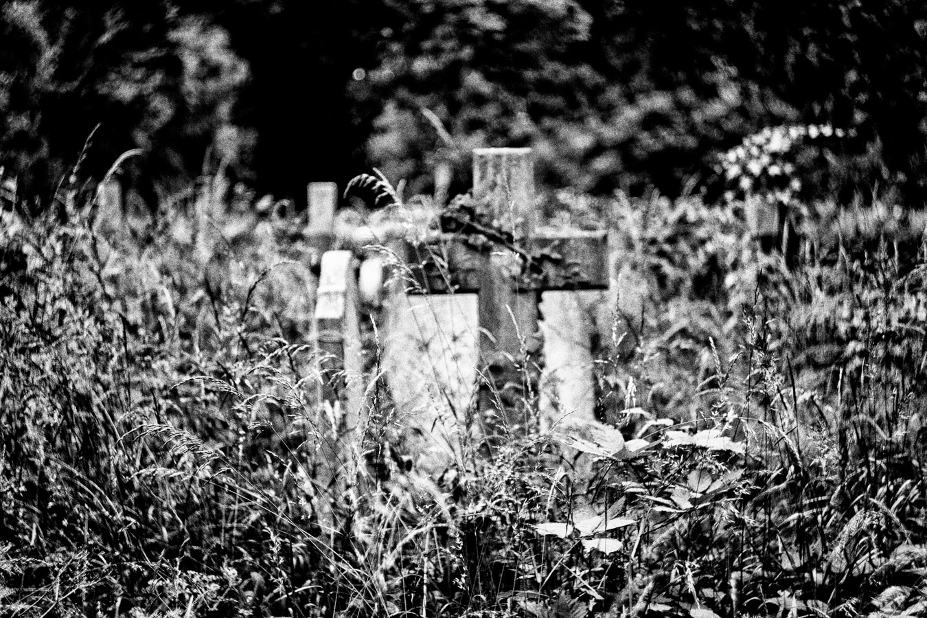 Brompton-Cemetery-9