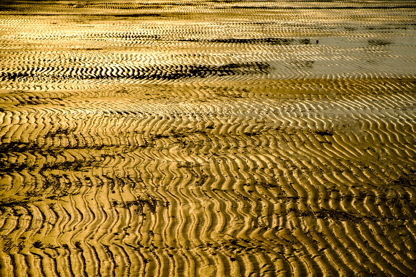 Koh Rong Sanloem