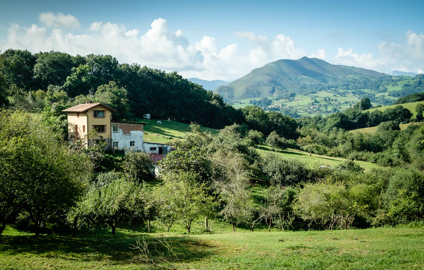 Ma maison pendant 5 semaines - Le paradis des ânes