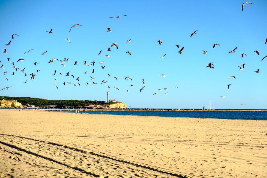 Plages et falaises de l'Algarve