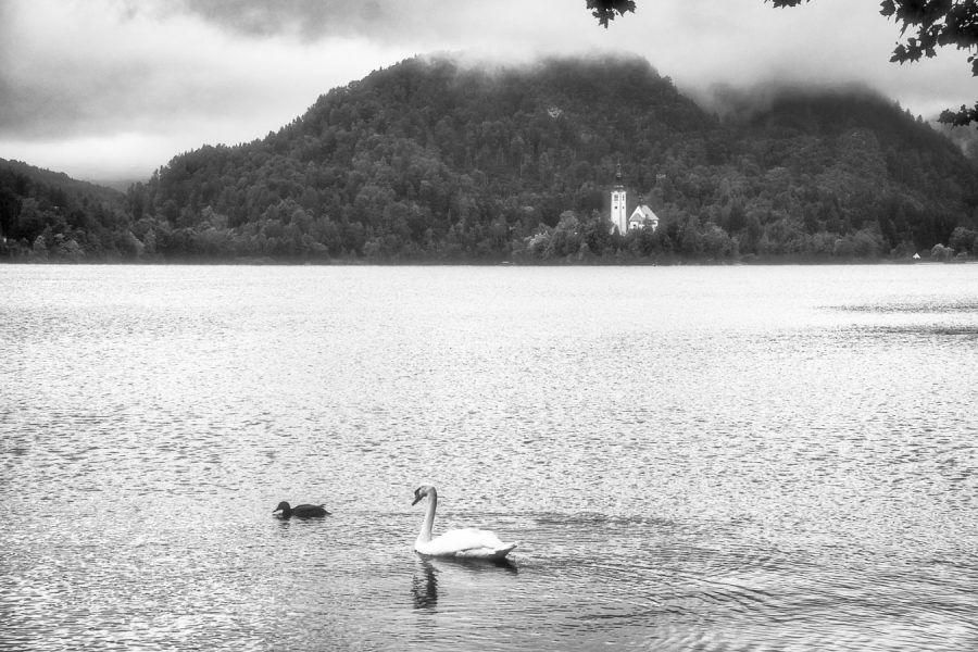 Que faire à Bled - Lac de Bled