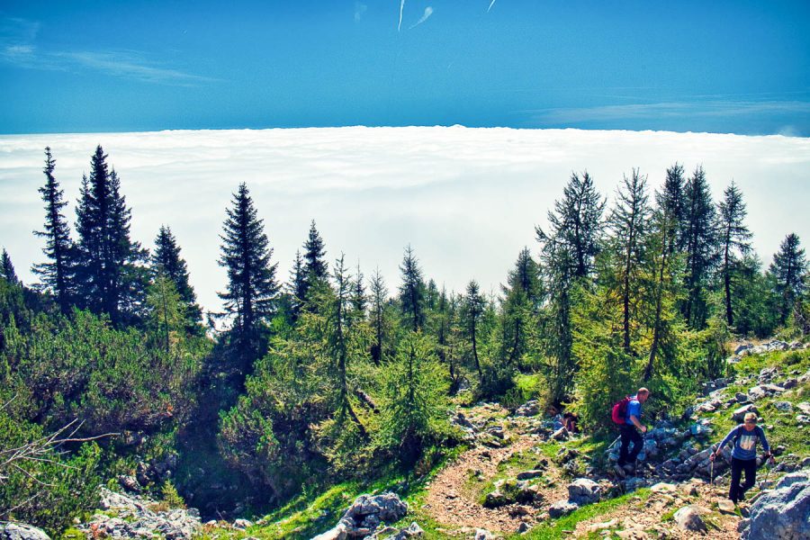 Que faire à Bled Slovénie - Triglav National Park