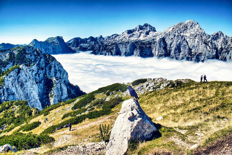 Que faire à Bled Slovénie - Triglav National Park