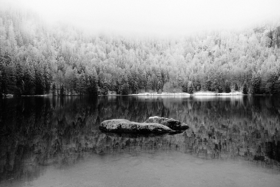 Exposure 7 - Kodak Tri-X 400